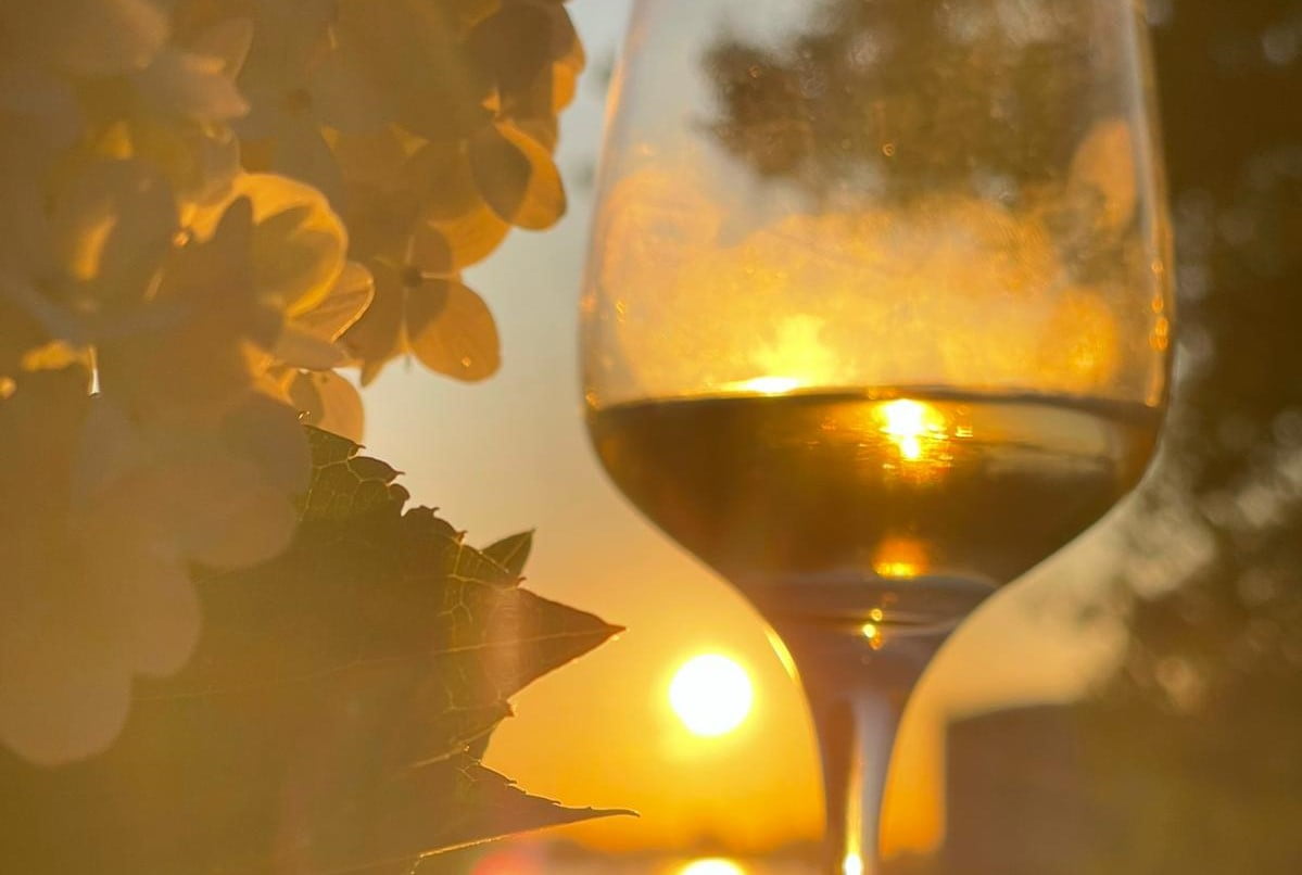 f028d881 81c5 4cbe b536 50119d331ed1 1